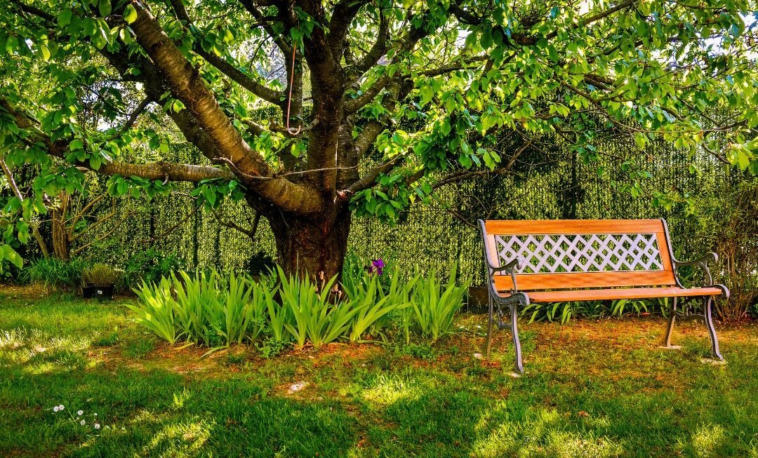 Jak wybrać idealną ławkę ogrodową? Poradnik zakupowy