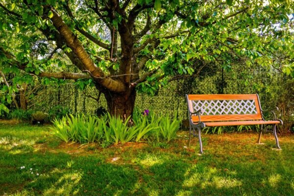 Jak wybrać idealną ławkę ogrodową? Poradnik zakupowy